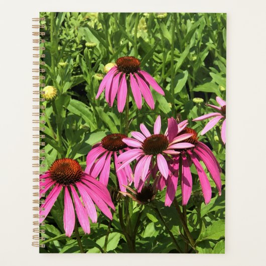 Bloemen in Chateau Morrisette Winery, Floyd, VA Planner (Voorkant)