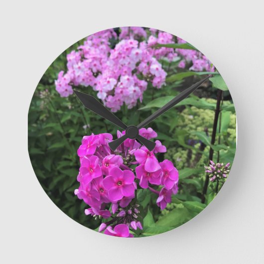 Bloemen in Chateau Morrisette Winery, Floyd, VA Ronde Klok (Voorkant)