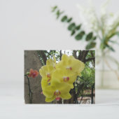 Bloemen in Chiang Mai Thailand Briefkaart (Staand voorkant)