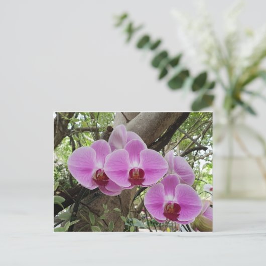 Bloemen in Chiang Mai Thailand Briefkaart (Staand voorkant)