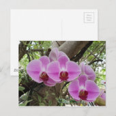 Bloemen in Chiang Mai Thailand Briefkaart (Voorkant / Achterkant)