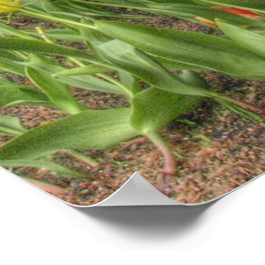 Bloemen in Chicago Poster (Hoek)