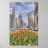Bloemen in Chicago Poster (Voorkant)