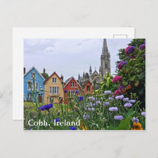 Bloemen in Cobh, Briefkaart Ierland (Voorkant / Achterkant)