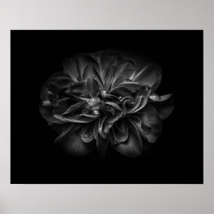 Bloemen in de achtertuin in zwart-wit 67 poster