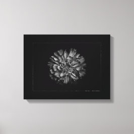 Bloemen in de achtertuin in zwart-wit Nr. 79 rand Canvas Afdruk