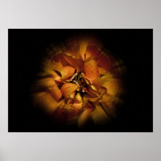 Bloemen in de achtertuin Nr 80 Kleur Flow Versie Poster (Voorkant)