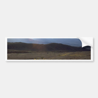 Bloemen in de Death Valley Bumpersticker