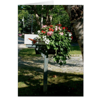 Bloemen in de e-mail