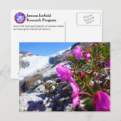 Bloemen in de Gilkey-moersleutel Briefkaart (Voorkant / Achterkant)