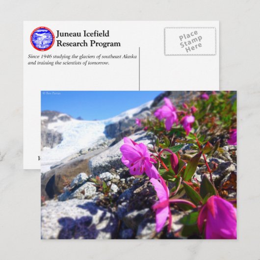 Bloemen in de Gilkey-moersleutel Briefkaart (Voorkant / Achterkant)