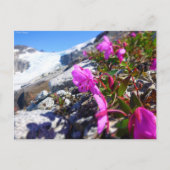 Bloemen in de Gilkey-moersleutel Briefkaart (Voorkant)