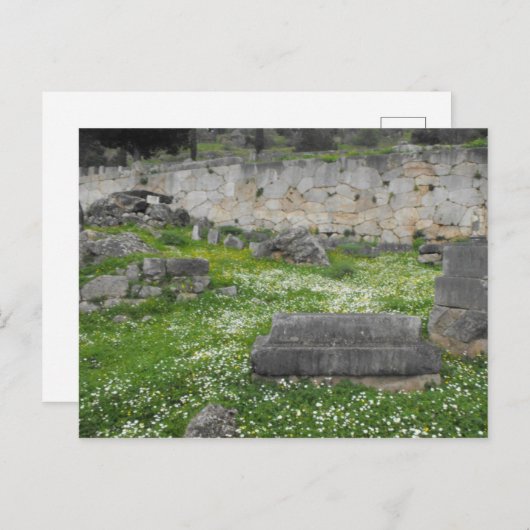 Bloemen in de ruïnes van Delphi Briefkaart (Voorkant / Achterkant)