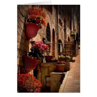 Bloemen in de Straat Assisi Italty