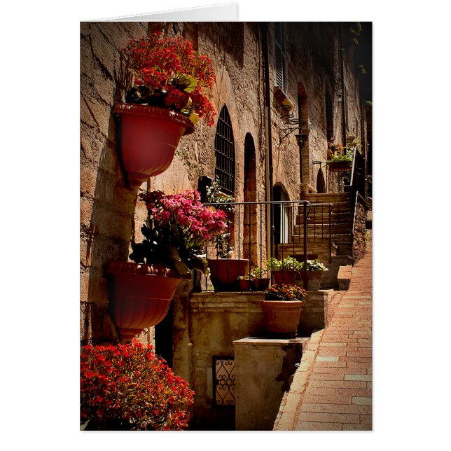 Bloemen in de Straat Assisi Italty (Voorkant)