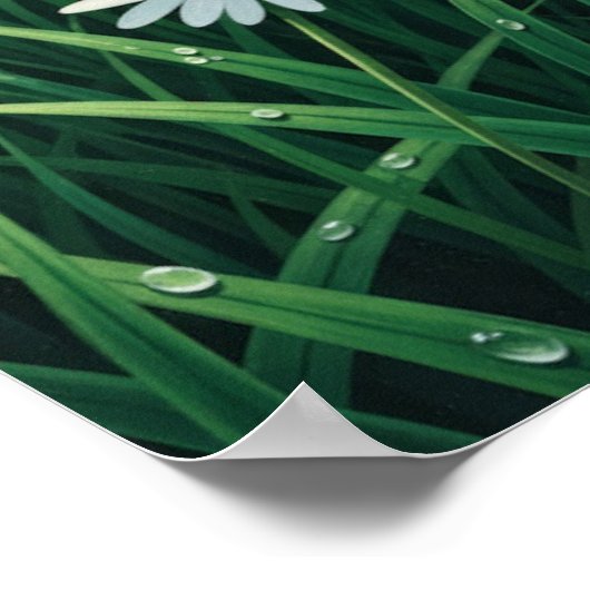 Bloemen in de Sun Wall Art Poster (Hoek)