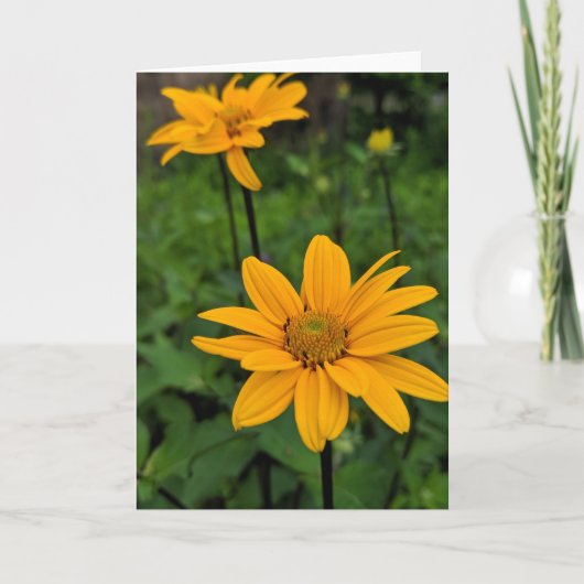 Bloemen in de tuin kaart (Voorkant)