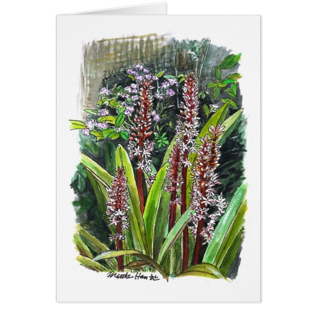 Bloemen in een tuin (Voorkant)