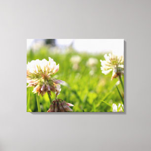 Bloemen in een veld canvas afdruk