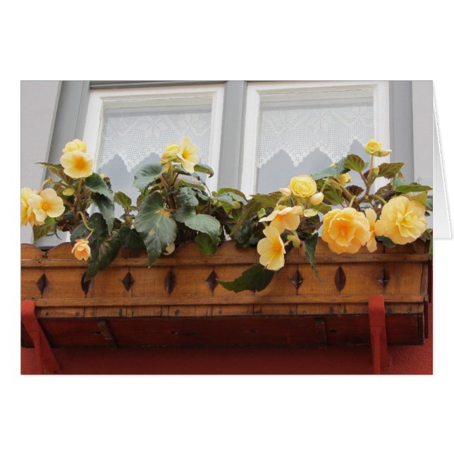 Bloemen in een vensterbak (Voorkant Horizontaal)