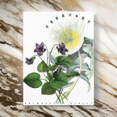 Bloemen in februari: sleutelbloem en viooltje briefkaart