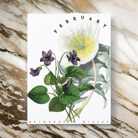 Bloemen in februari: sleutelbloem en viooltje briefkaart