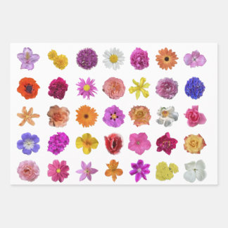 BLOEMEN IN GALORE! Cadeaupapier