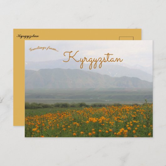 Bloemen in het Kirgizische Briefkaart (Voorkant / Achterkant)