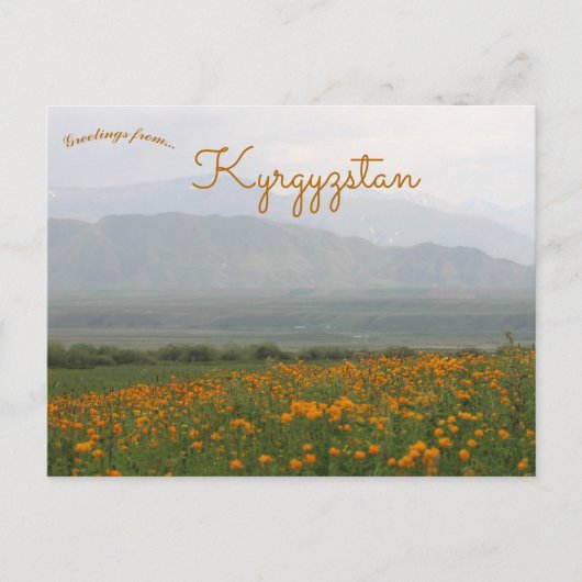 Bloemen in het Kirgizische Briefkaart (Voorkant)
