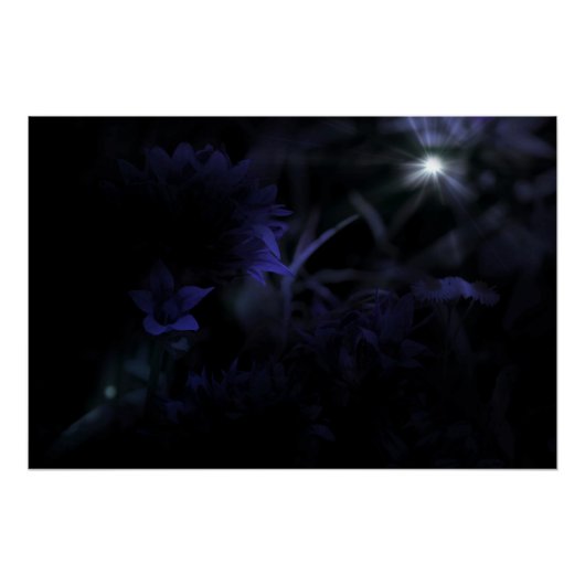 Bloemen in het maanlicht perfect poster (Voorkant)