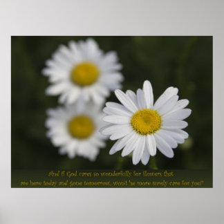 Bloemen in het veld poster