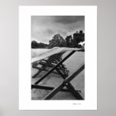 BLOEMEN IN HET WINDPoster Poster (Voorkant)