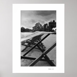 BLOEMEN IN HET WINDPoster Poster