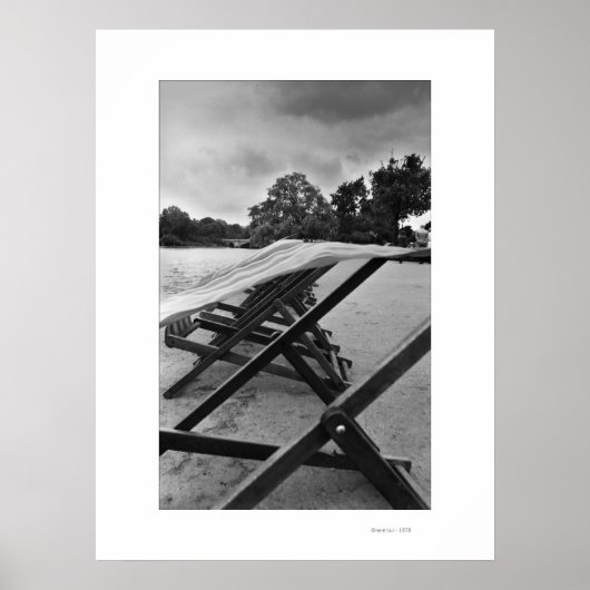 BLOEMEN IN HET WINDPoster Poster (Voorkant)