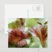 Bloemen in ijs briefkaart (Voorkant / Achterkant)