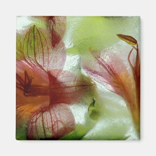 Bloemen in ijs magneet (Voorkant)