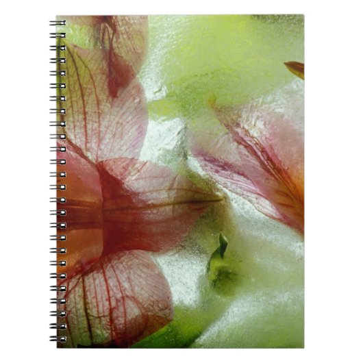 Bloemen in ijs notitieboek (Voorkant)