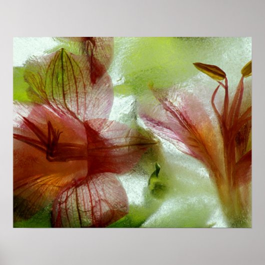Bloemen in ijs poster (Voorkant)