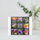 Bloemen in Israël Briefkaart (Staand voorkant)