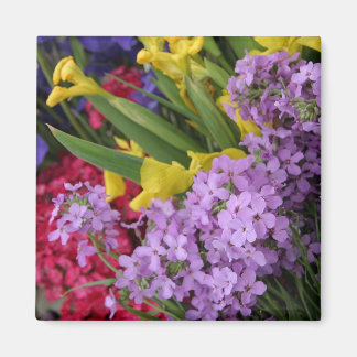 Bloemen in meerdere kleuren magneet