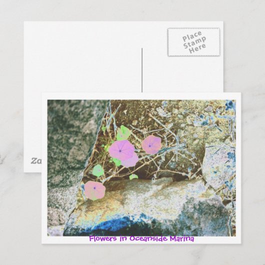 Bloemen in Oceanside Marina Briefkaart (Voorkant / Achterkant)
