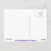 Bloemen in Oceanside Marina Briefkaart (Achterkant)