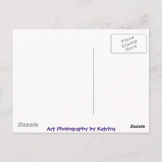 Bloemen in Oceanside Marina Briefkaart (Achterkant)