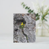Bloemen in Rock Briefkaart (Staand voorkant)