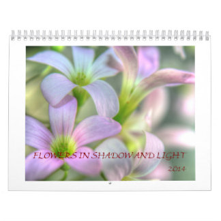 Bloemen in schaduwen en licht kalender