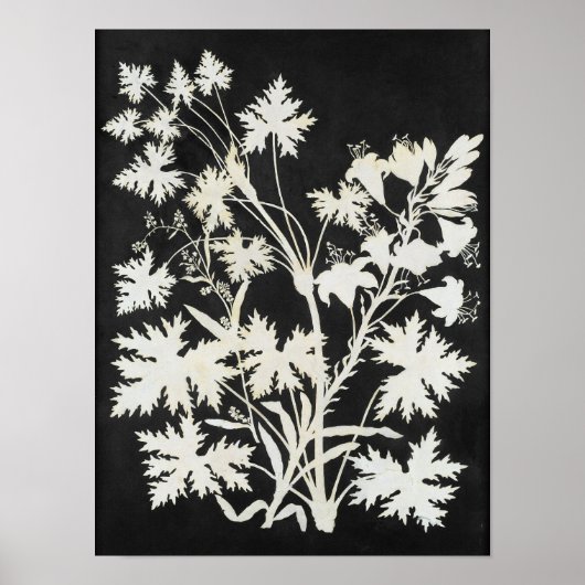 Bloemen in Silhouette Poster (Voorkant)