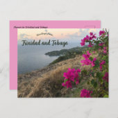 Bloemen in Trinidad en Tobago Briefkaart (Voorkant / Achterkant)