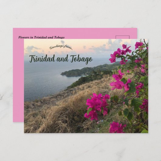 Bloemen in Trinidad en Tobago Briefkaart (Voorkant / Achterkant)