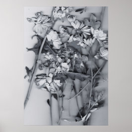 Bloemen in zwart en wit poster