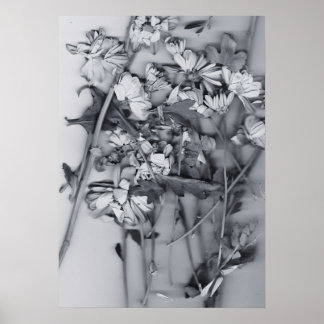 Bloemen in zwart en wit poster